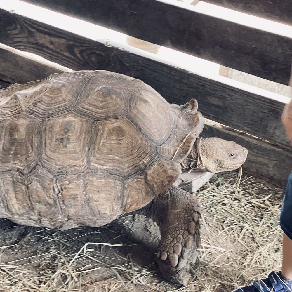 ​Happi Farm - Community Service/Non-Profit Near Me - Davie, Florida