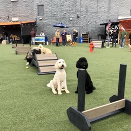 Agility equipment Agility equipment