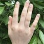 Photo of Li Li & Nails