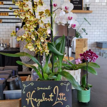 Holly Rose Coffee Bar - Coffee & Tea Near Me - Portland, Oregon