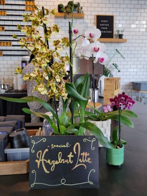 Holly Rose Coffee Bar by null