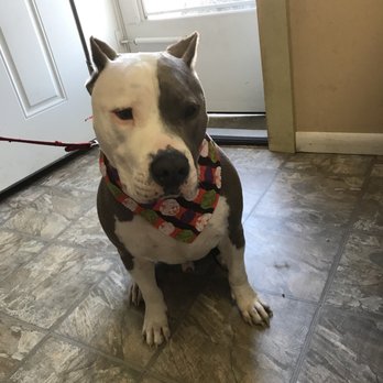 Furkids Pet Grooming - Pet Groomers Near Me - Glen Burnie, Maryland Furkids Pet Grooming - Pet Groomers Near Me - Glen Burnie, Maryland