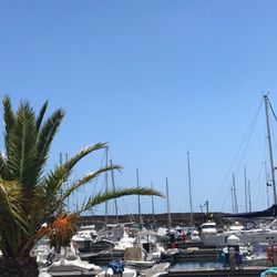 Bar da Marina - Beautiful view!