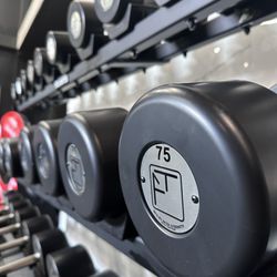 Fitness Therapy