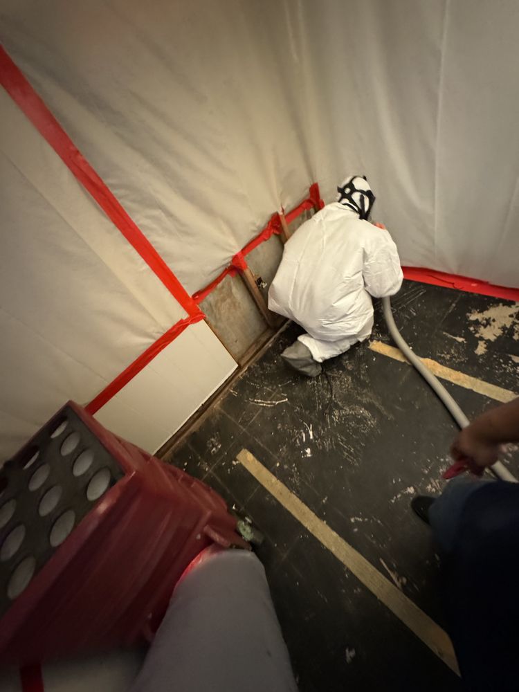 Safe Zone Abatement Construction - mold inspector in East Hartford, CT