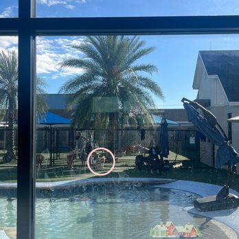 Pet Paradise Ft. Myers - Pet Boarding Near Me - Ft. Myers, Florida Pet Paradise Ft. Myers - Pet Boarding Near Me - Ft. Myers, Florida