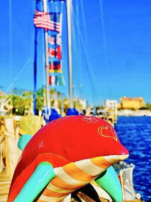 St Pete Beach by null