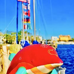 St Pete Beach - Caught the big one on SPB mate Arrrr!