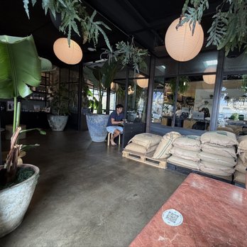Freelance Coffee Project - Inside - Coffee & Tea Near Me - Newport Beach, California