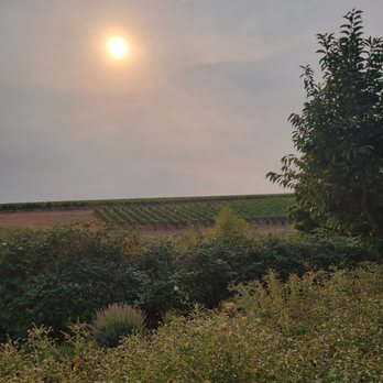 WillaKenzie Estate - Wineries Near Me - Yamhill, Oregon