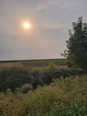 WillaKenzie Estate by null