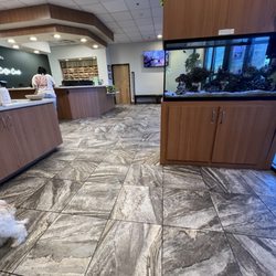 Critter Creek Veterinary Hospital