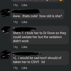 Edward E Dove, DDS , PC