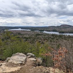 Raymond Community Forest