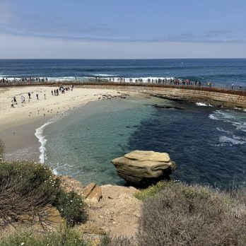 La Jolla Cove - People watching the seals bath - Parks Near Me - La Jolla, California La Jolla Cove - People watching the seals bath - Parks Near Me - La Jolla, California