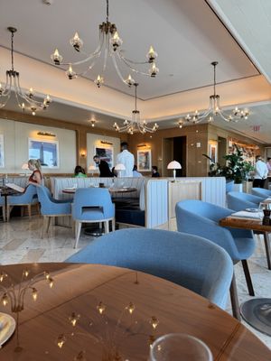 Bellini | Coconut Grove by null