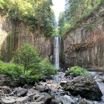 Abiqua Falls Trailhead - Holy shit! - Hiking Near Me Abiqua Falls Trailhead - Holy shit! - Hiking Near Me