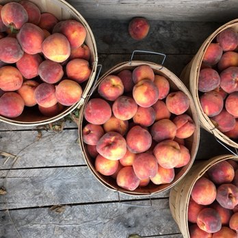 Overhiser Orchards - Pick Your Own Farms Near Me - South Haven, Michigan