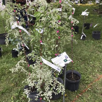 Dannaher Landscaping & Nursery - Nurseries & Gardening Near Me - Galena, Ohio