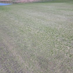 Isleta Eagle Golf Course - Number 7 aroyyo