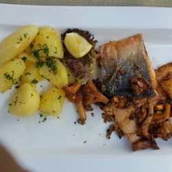 Landhaus Am See - Saiblingfilet an frischen Pfifferlingen...