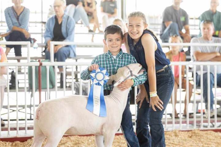 Fox Transport - home care agency in Burlington, WI