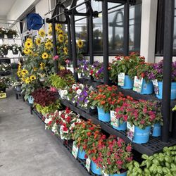 QFC