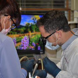 Shoop Dentistry