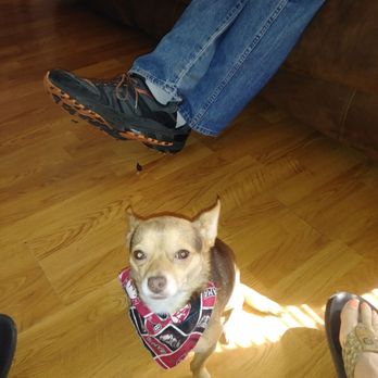 Galbraith Wyatt DVM - Roll Tide!! - Veterinarians Near Me - Pulaski, Tennessee Galbraith Wyatt DVM - Roll Tide!! - Veterinarians Near Me - Pulaski, Tennessee