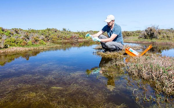 Trident Environmental