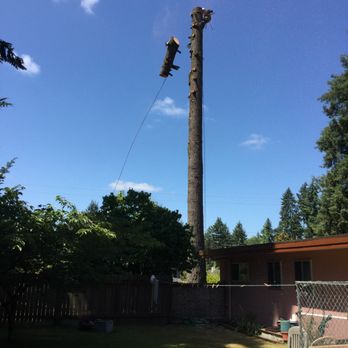 All Tree & Landscape - Landscaping Near Me - Olympia, Washington