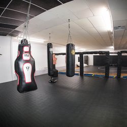 Octane MMA