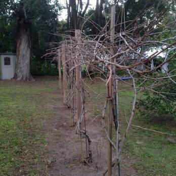 Jared's Yard Care - Landscaping Near Me