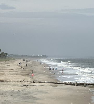 Edisto Beach State Park by null
