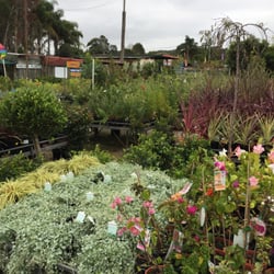 Whalan's Nurseries