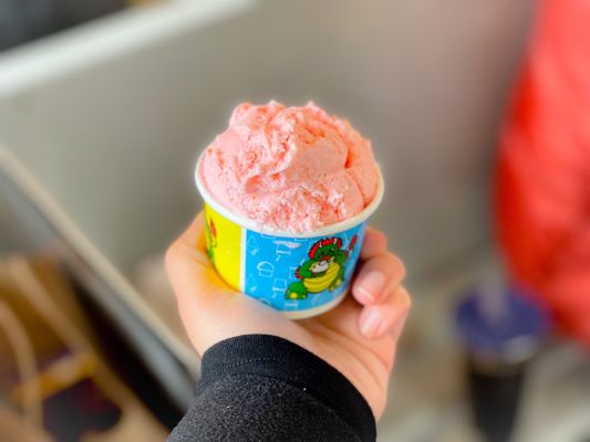 The Original Chinatown Ice Cream Factory by null