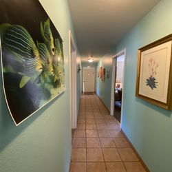 New Alamo Residence Home
