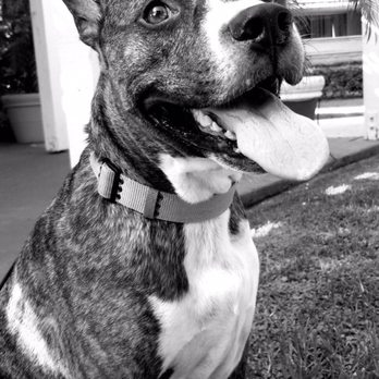 PetSmart - Hercules - Pet Stores Near Me - Orange, California PetSmart - Hercules - Pet Stores Near Me - Orange, California