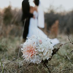 Rose & Fern Events