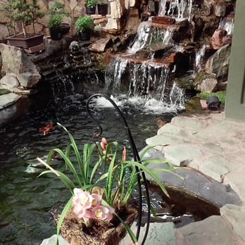Pho Tre Bien - water fall - Vietnamese Near Me - El Paso, Texas