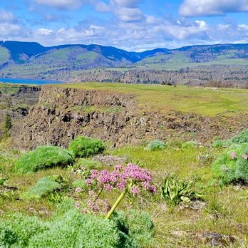 Tom McCall Preserve at Rowena - Hiking Near Me - Mosier, Oregon