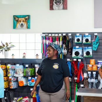 K9 Koncepts - Pet Training Near Me - Sparrows Point, Maryland K9 Koncepts - Pet Training Near Me - Sparrows Point, Maryland