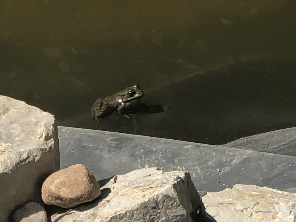 ZOO Updated June 2024 96 Photos & 24 Reviews 21125