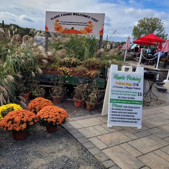 Bushy Hill Orchard - Entrance signs 9/2024 - Farmers Market Near Me - Granby, Connecticut Bushy Hill Orchard - Entrance signs 9/2024 - Farmers Market Near Me - Granby, Connecticut
