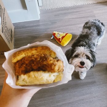 Bird Bird Biscuit - Breakfast & Brunch Near Me - Austin, Texas