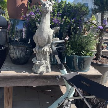 Pine Lane Nursery - Lovely display - Nurseries & Gardening Near Me - Parker, Colorado