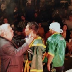 Empire Boxing - The pro's