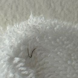 Dirty towel