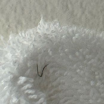 Marjac Suites - Dirty towel - Hotels Near Me - Virginia Beach, Virginia