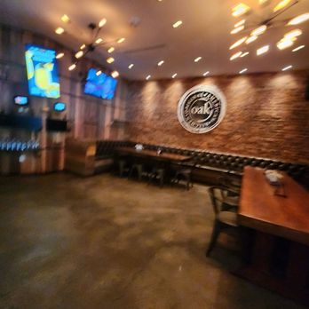 OAK - Bars Near Me - Gainesville, Florida